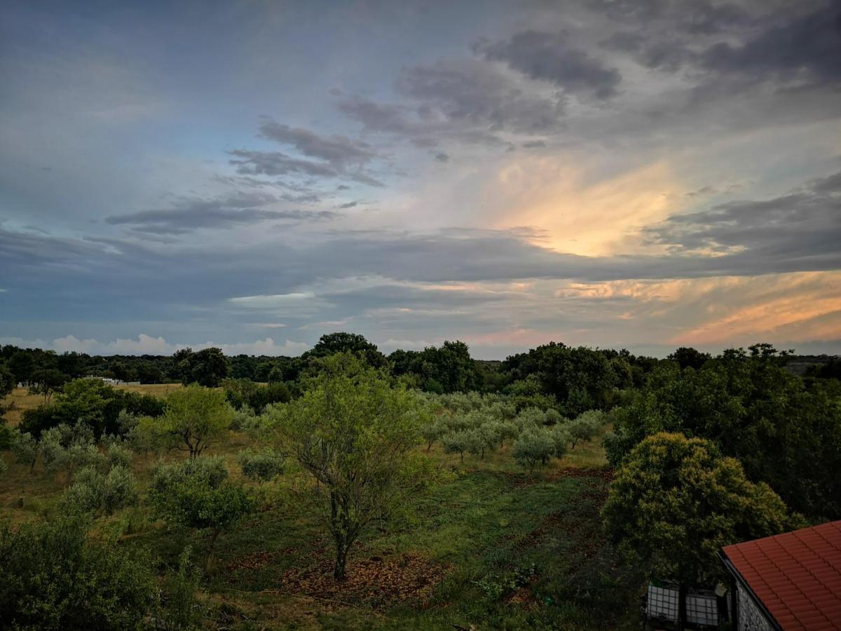 Apartment Sunrise, Coastal Istra, Pula Duga Uvala Pavicini エクステリア 写真