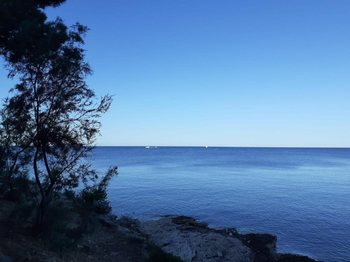 Apartment Sunrise, Coastal Istra, Pula Duga Uvala Pavicini エクステリア 写真